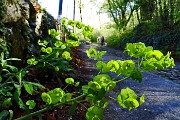 16 Sul sentiero strada agrosilvopastorale F. Benedetti